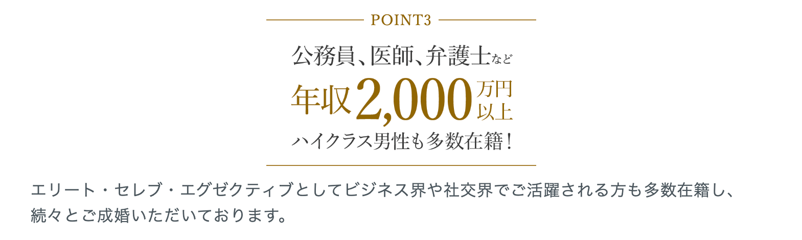 ハイクラス結婚相談所の特徴は高収入・高学歴男性が多いこと