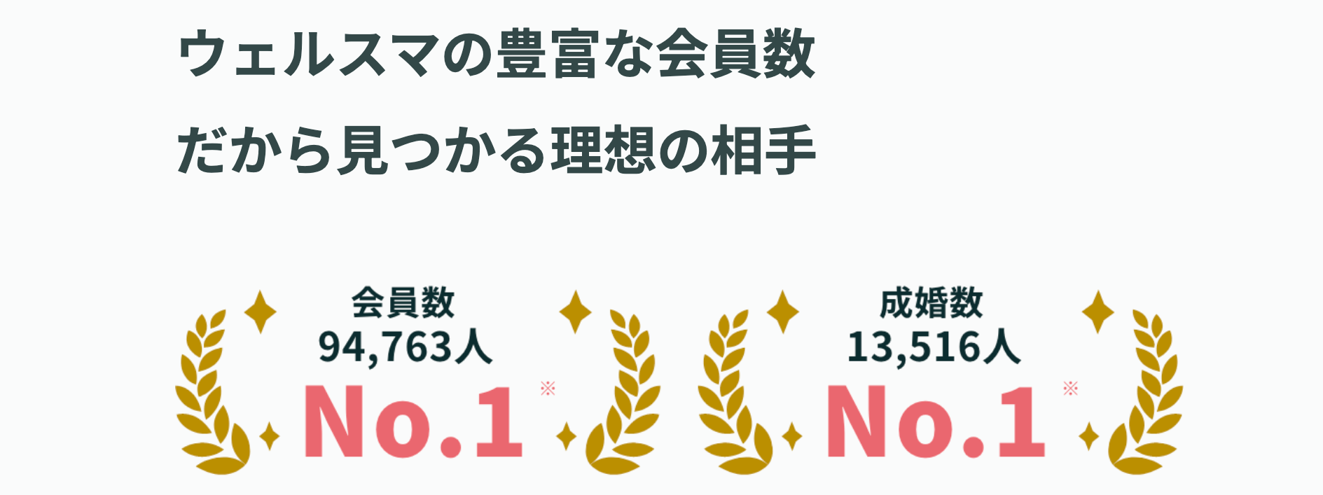 ウェルスマの特徴｜会員数10万人以上と業界最多規模